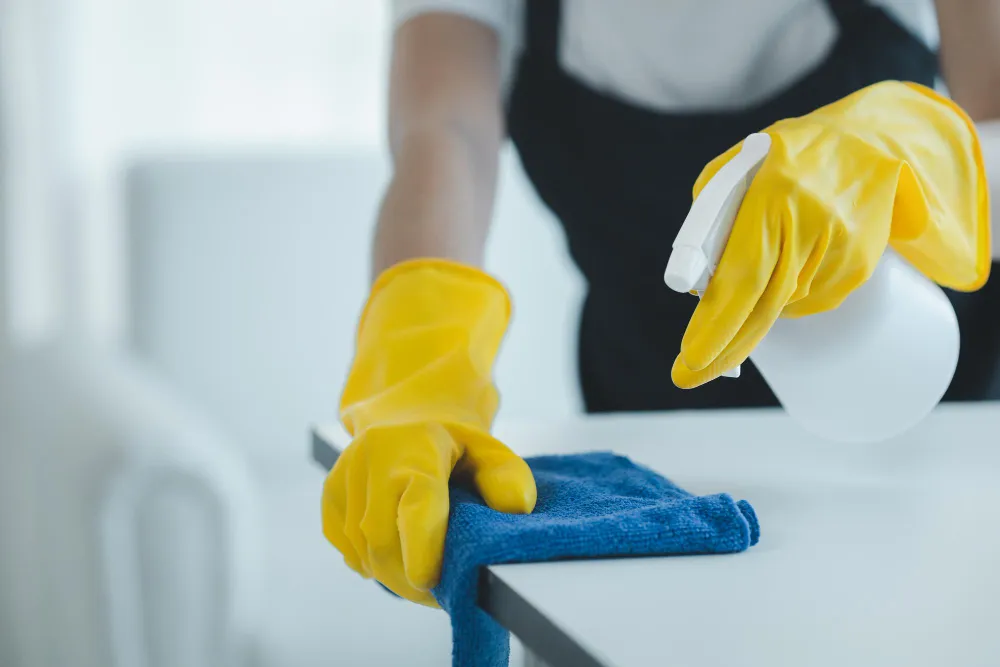 Klus en schoonmaakdiensten